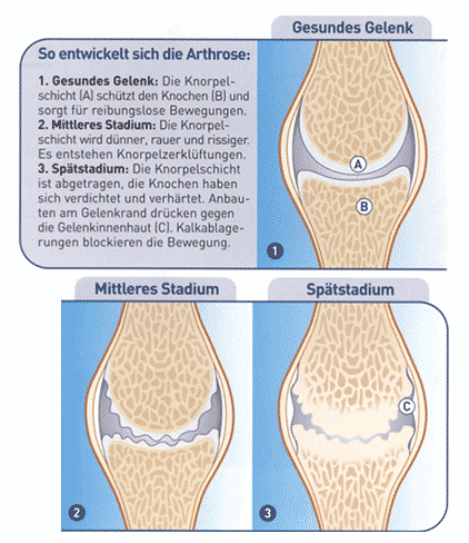 Stadien